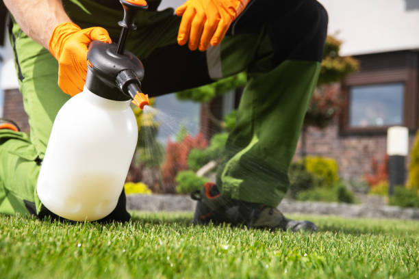 Best Pest Control for Restaurants  in Clinton, IA