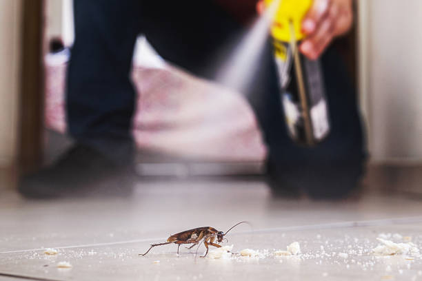 Best Pest Control Near Me  in Clinton, IA